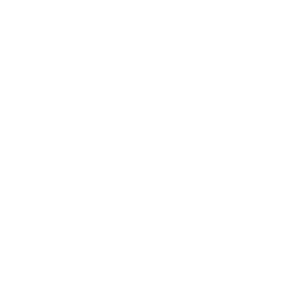 zelle-icon-white